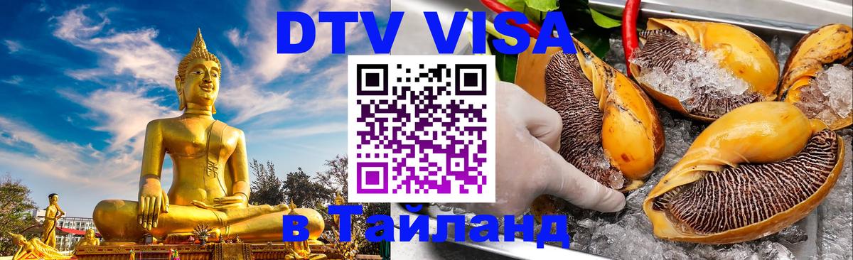 Цены на DTV визу в Таиланд — пакеты услуг, достаточно даже паспорта - Архангельск  20.11.2025 